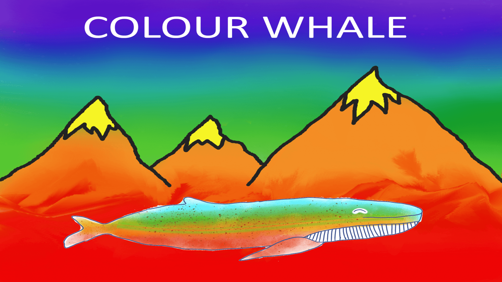 Colour Whale Cover