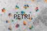 Petri