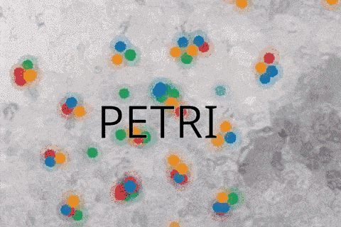 Petri