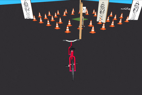 Bicycling 101