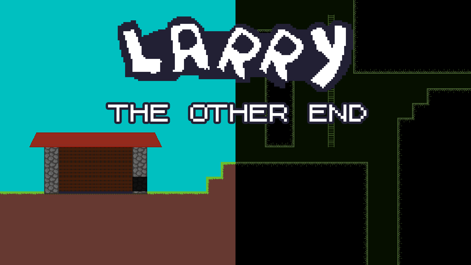Larry: The other end Cover