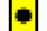Card Collector