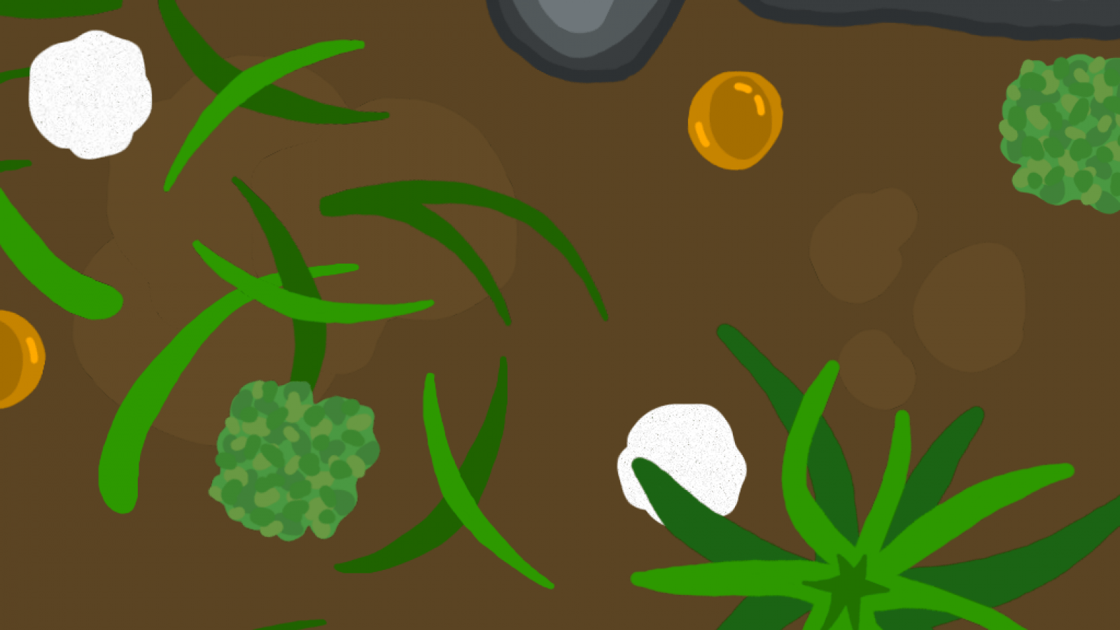 Antsy Cover