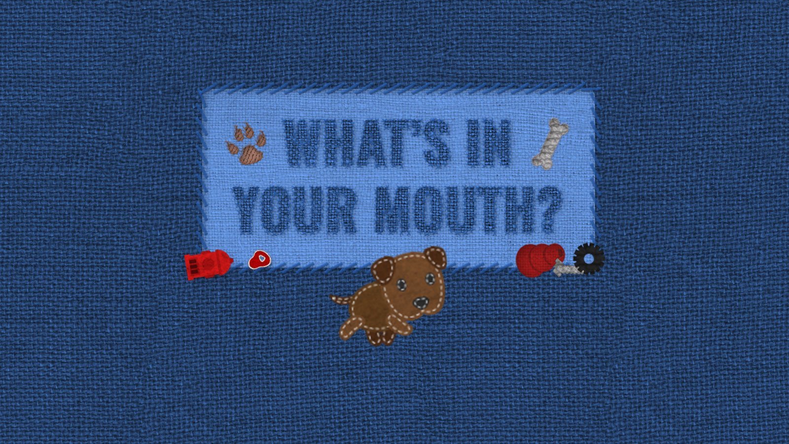What's in your mouth? Cover