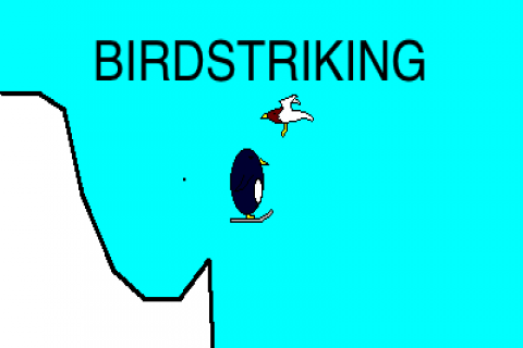 Birdstriking