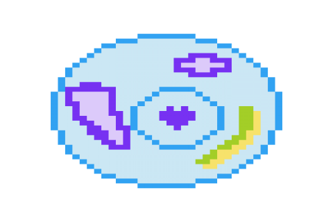 Endoplasmic Reticulum