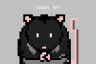Tunnel Rat
