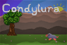 Condylura