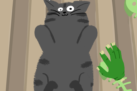 I Can Haz?