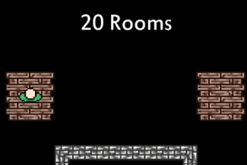 20 Rooms