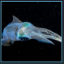 Forensic Squid